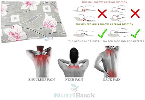 NutriBuck Organic Buckwheat Pillow | Standard Size | 15" x 25" inch | Pillow for Neck Pain | Shoulder Pain | Back Pain | Other Sleeping Problem
